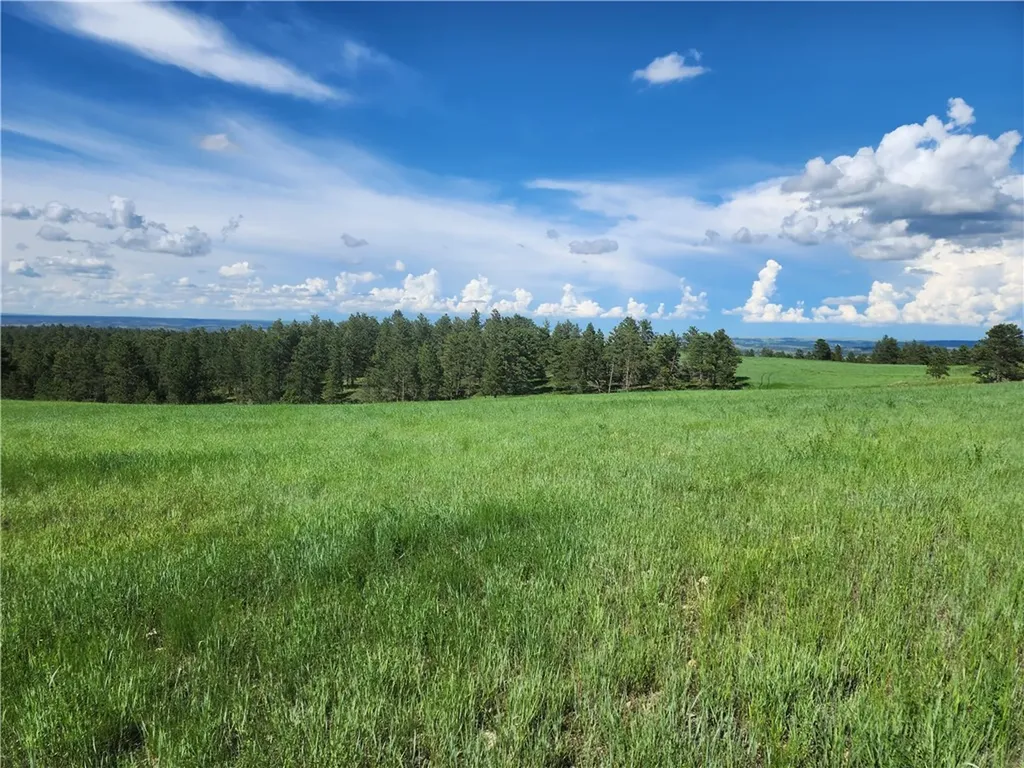 Lot 6 Shane Ridge Road Columbus MT 59019
