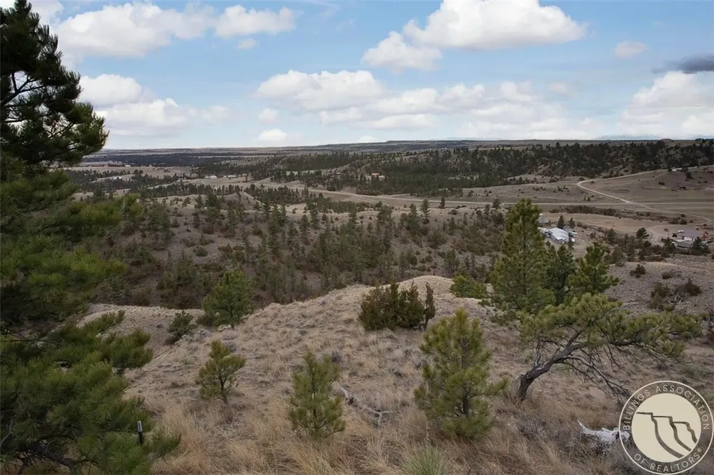 4040 Mountain View Drive S Molt MT 59057