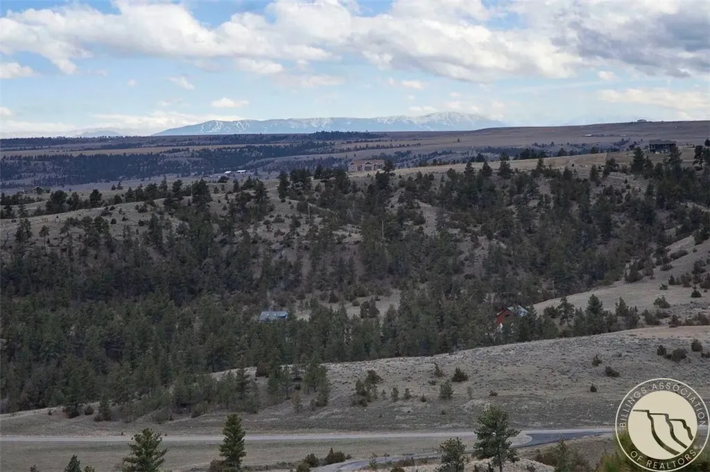 4040 Mountain View Drive S Molt MT 59057