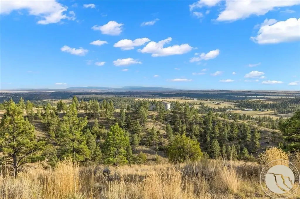 4040 Mountain View Drive S Molt MT 59057