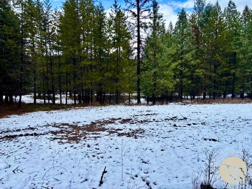 2517 Mossy Court Other MT 59873