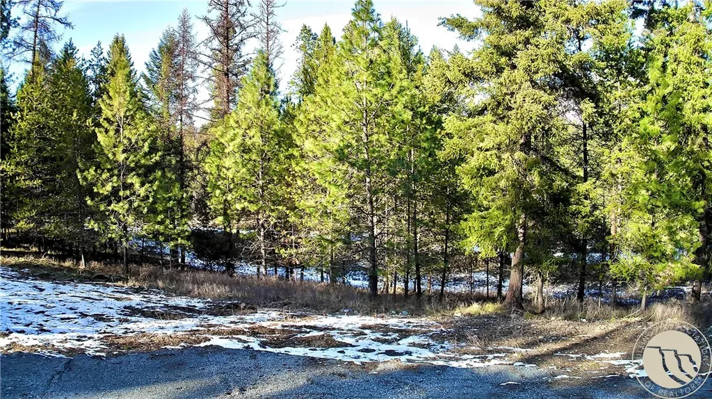 2517 Mossy Court Other MT 59873