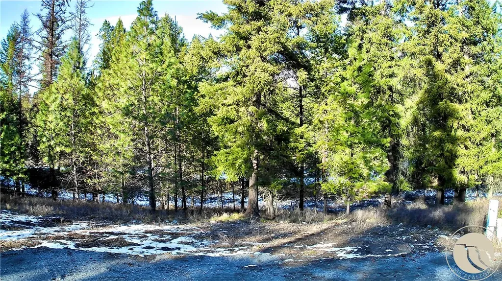 2517 Mossy Court Other MT 59873