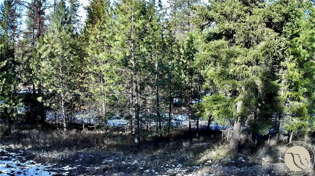 2517 Mossy Court Other MT 59873
