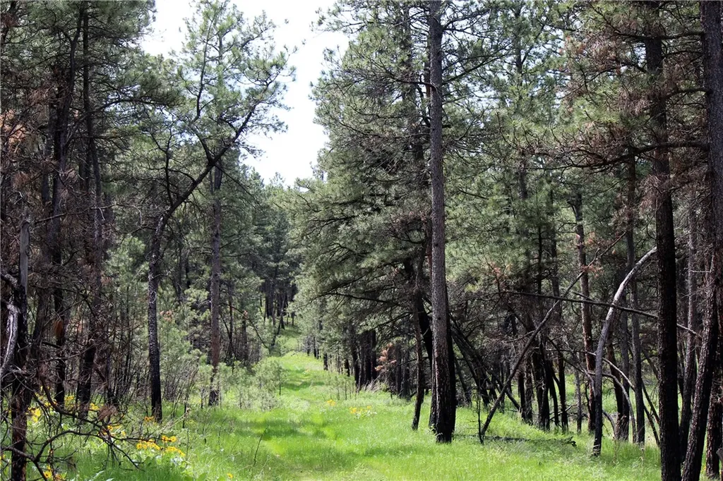 Nhn Deer Lane Roundup MT 59072