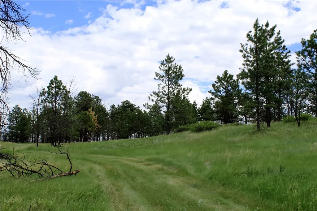 Nhn Deer Lane Roundup MT 59072