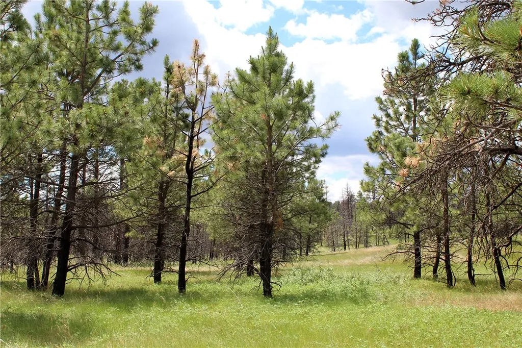 Nhn Deer Lane Roundup MT 59072