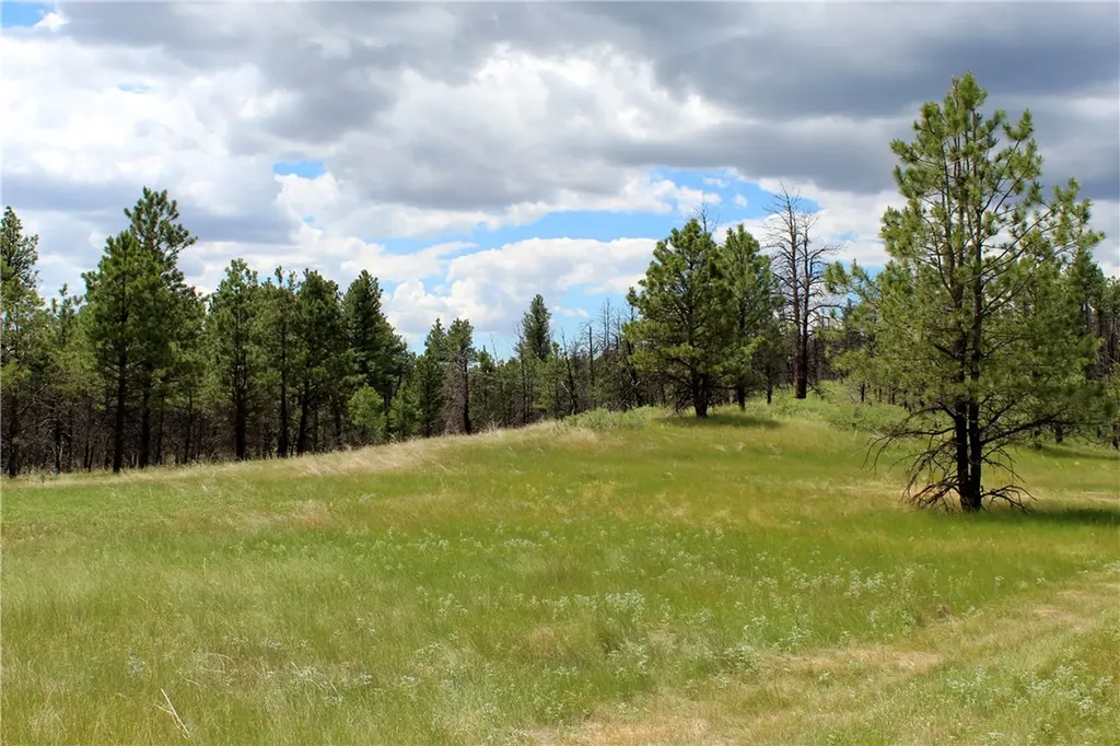 Nhn Deer Lane Roundup MT 59072