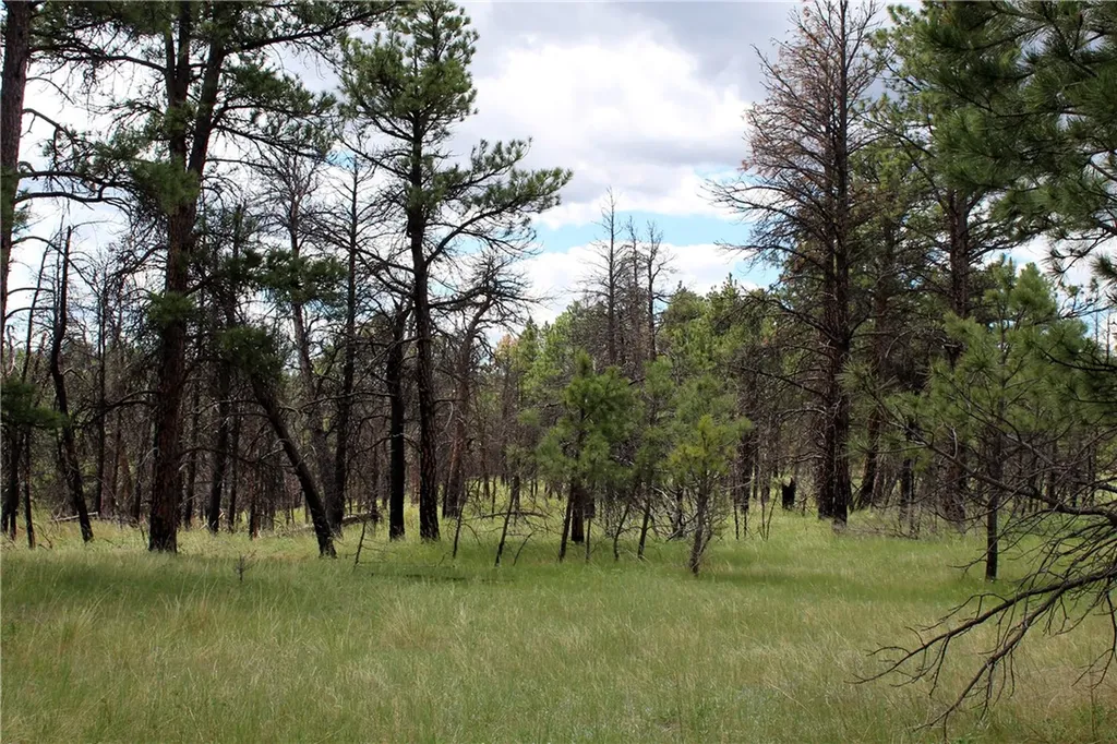 Nhn Deer Lane Roundup MT 59072
