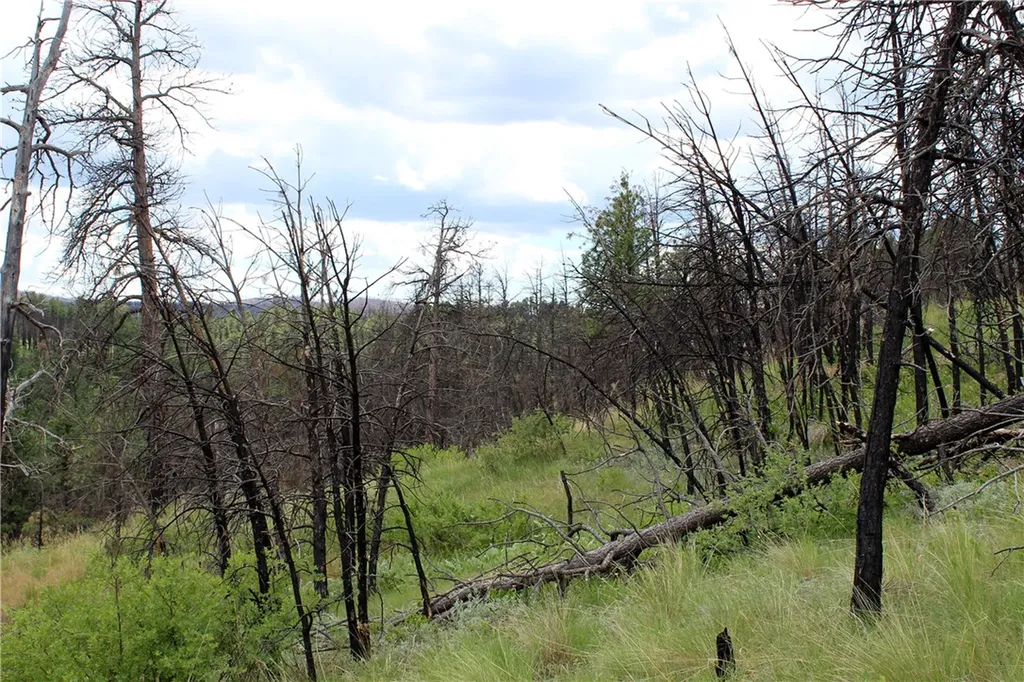 Nhn Deer Lane Roundup MT 59072