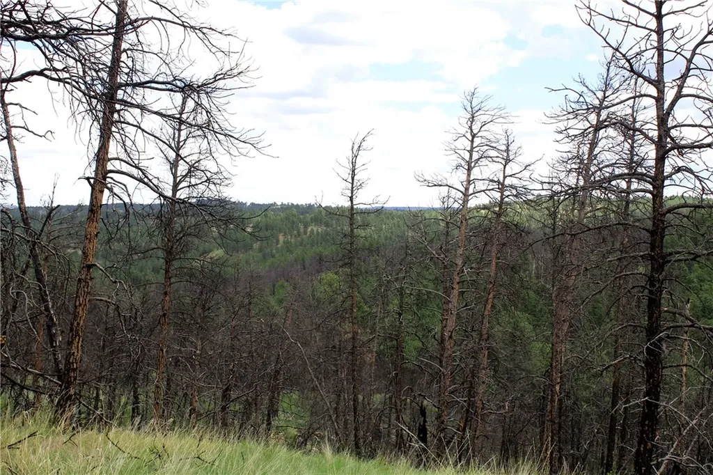 Nhn Deer Lane Roundup MT 59072