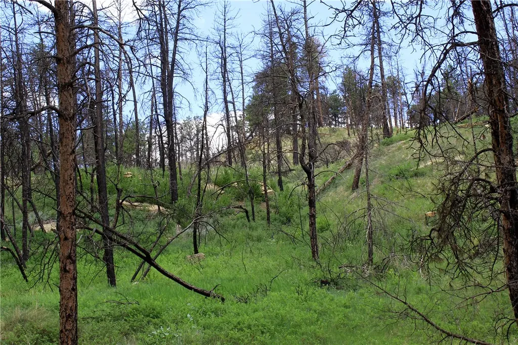 Nhn Deer Lane Roundup MT 59072