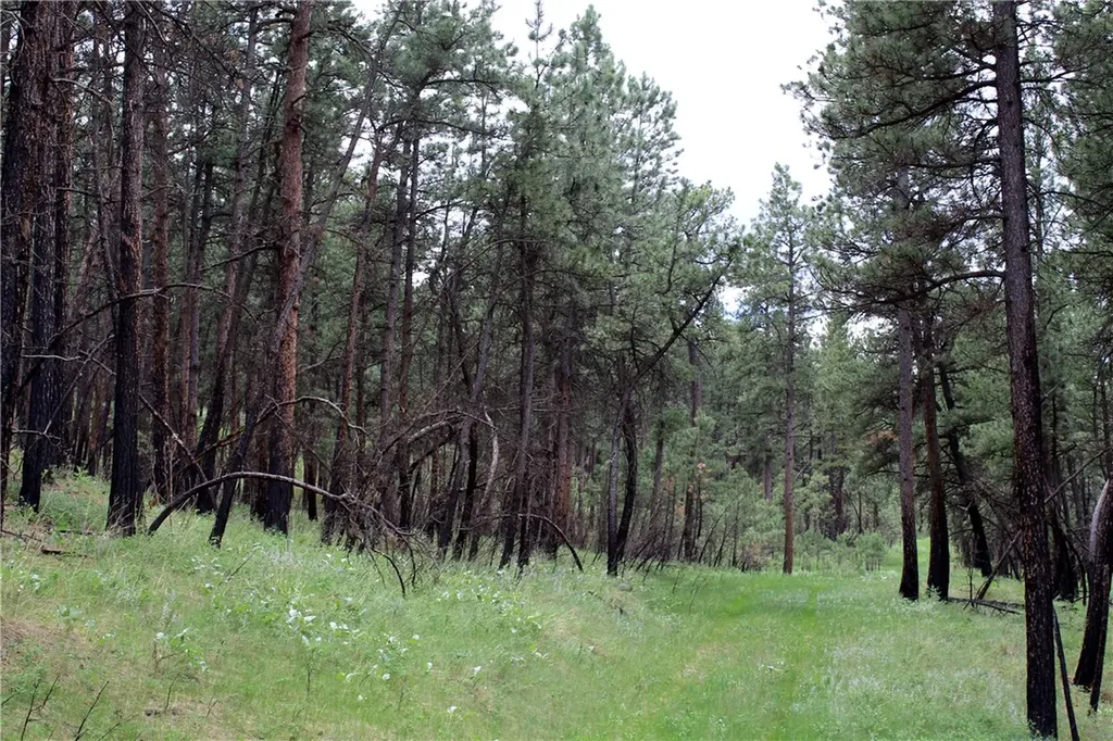 Nhn Deer Lane Roundup MT 59072