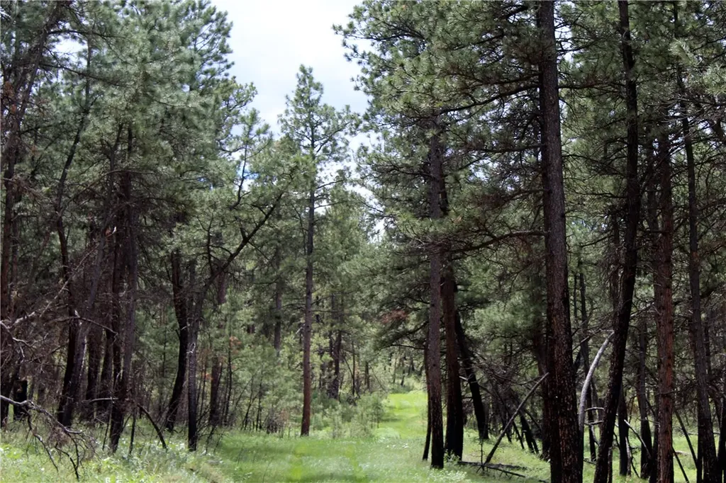 Nhn Deer Lane Roundup MT 59072