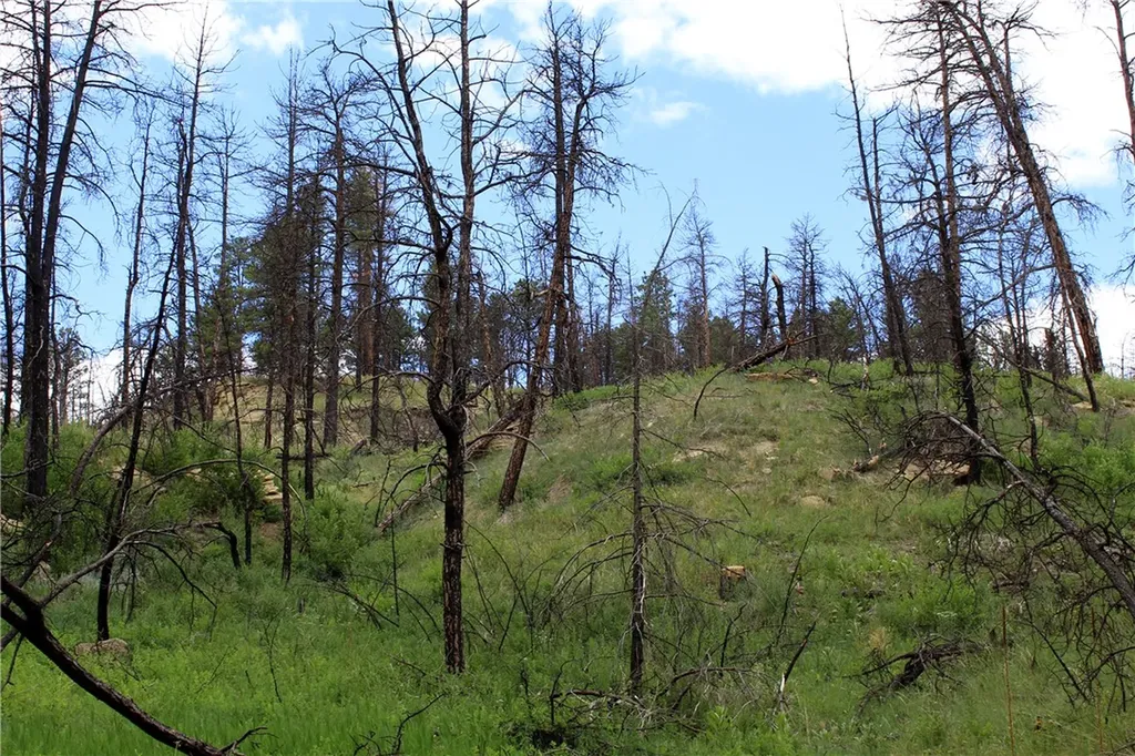 Nhn Deer Lane Roundup MT 59072