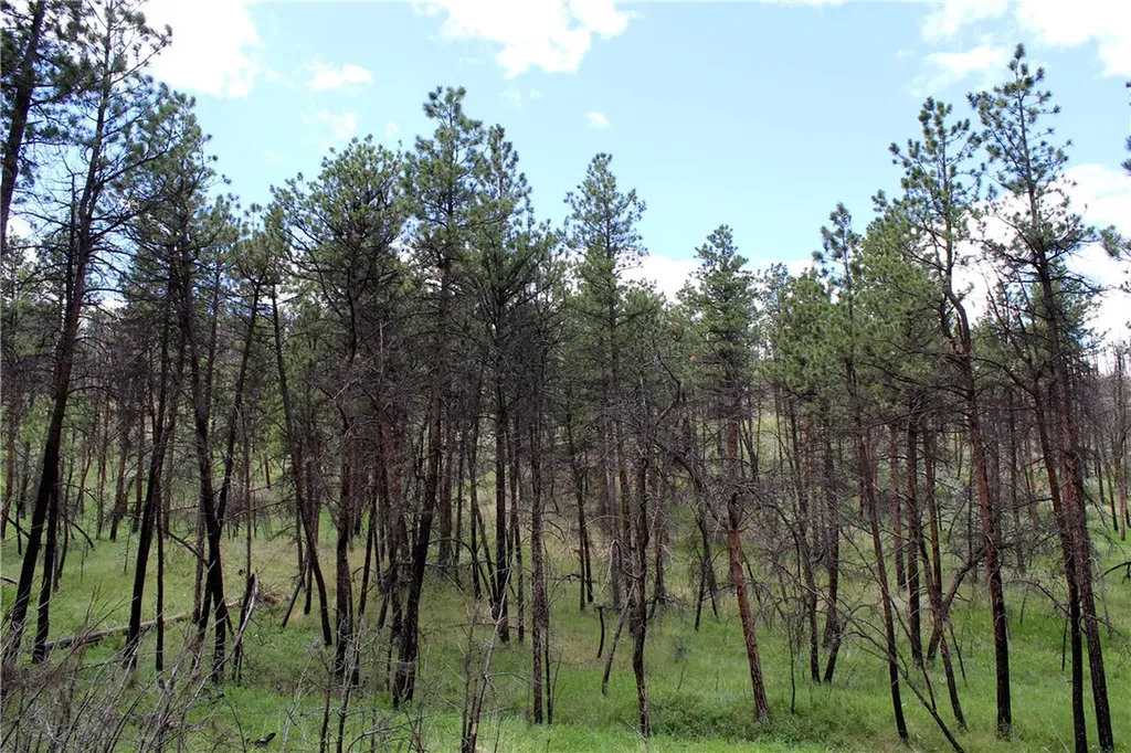 Nhn Deer Lane Roundup MT 59072