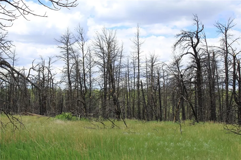 Nhn Deer Lane Roundup MT 59072