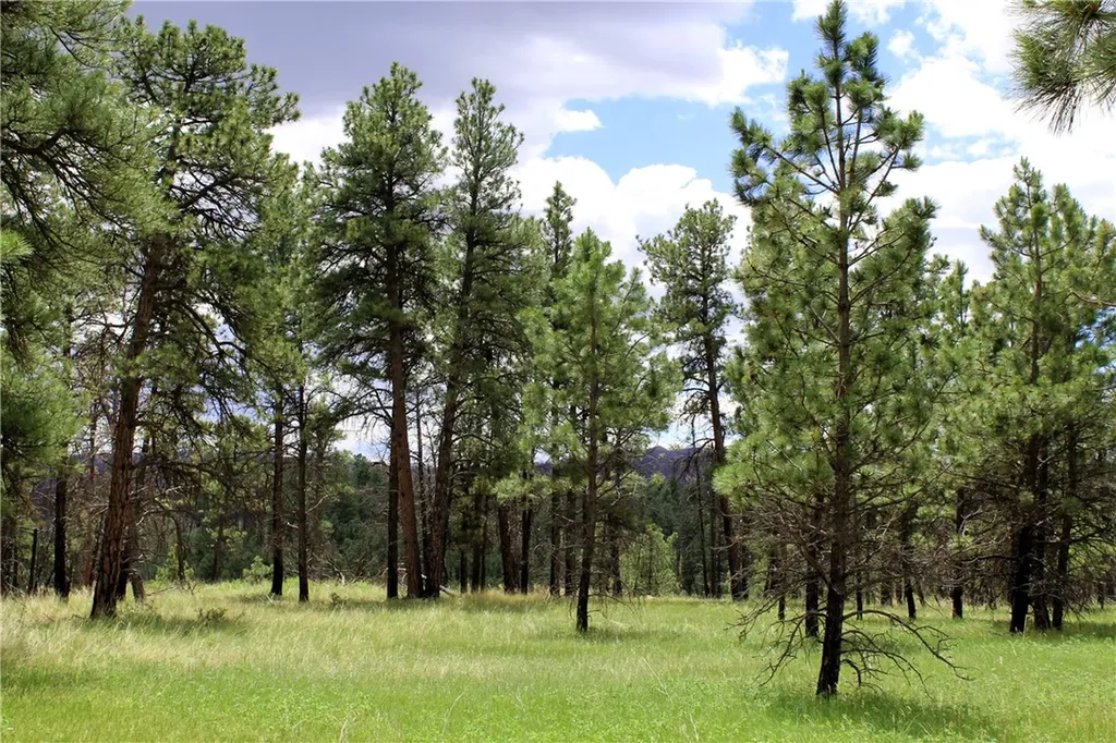 Nhn Deer Lane Roundup MT 59072