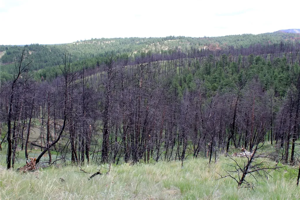 Nhn Deer Lane Roundup MT 59072