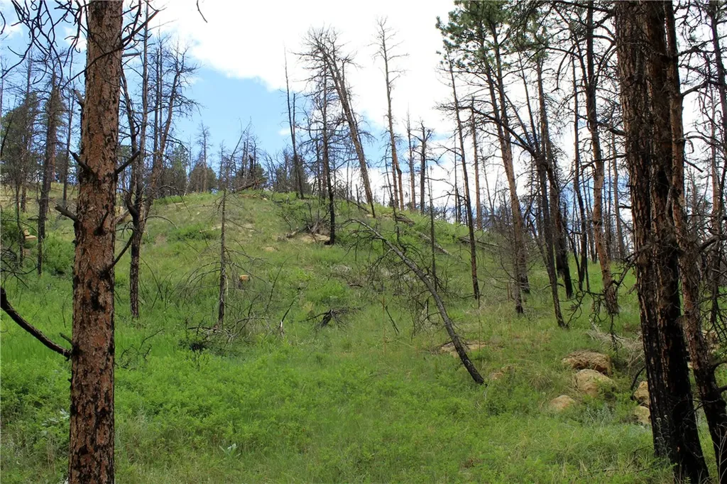 Nhn Deer Lane Roundup MT 59072