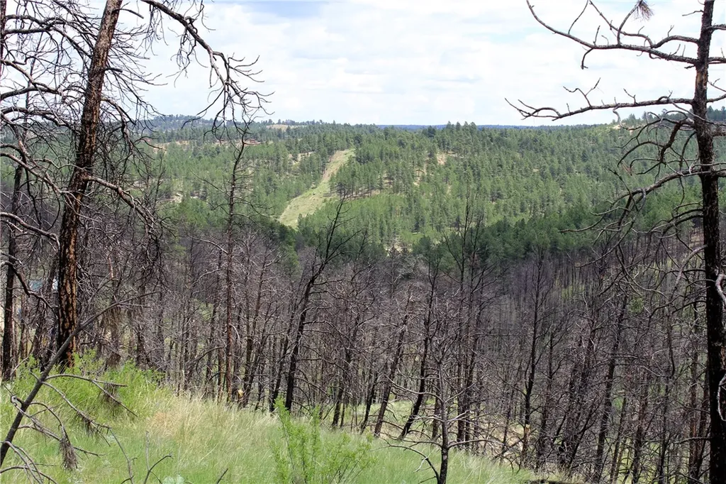 Nhn Deer Lane Roundup MT 59072
