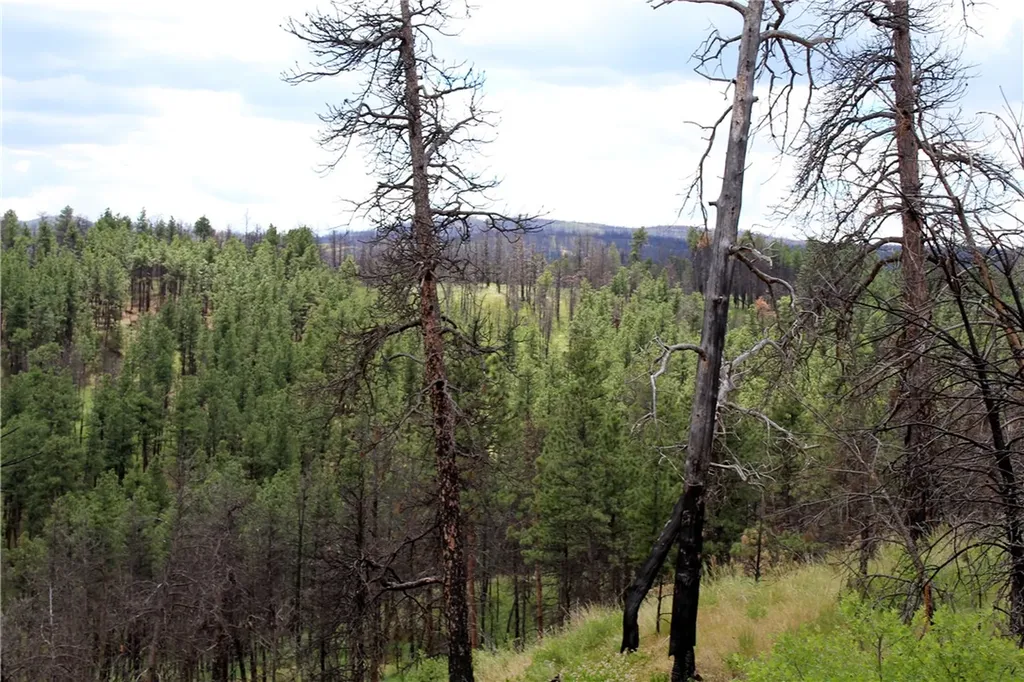 Nhn Deer Lane Roundup MT 59072