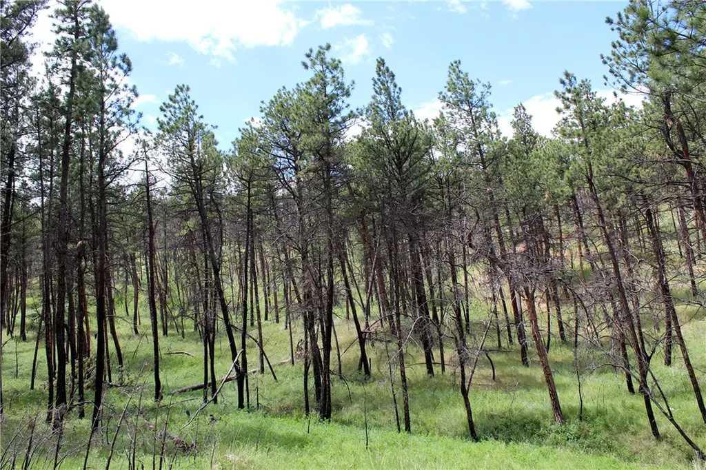 Nhn Deer Lane Roundup MT 59072