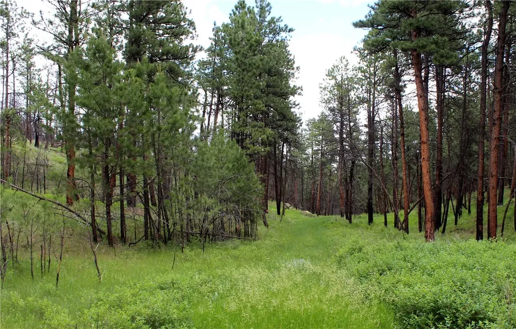 Nhn Deer Lane Roundup MT 59072