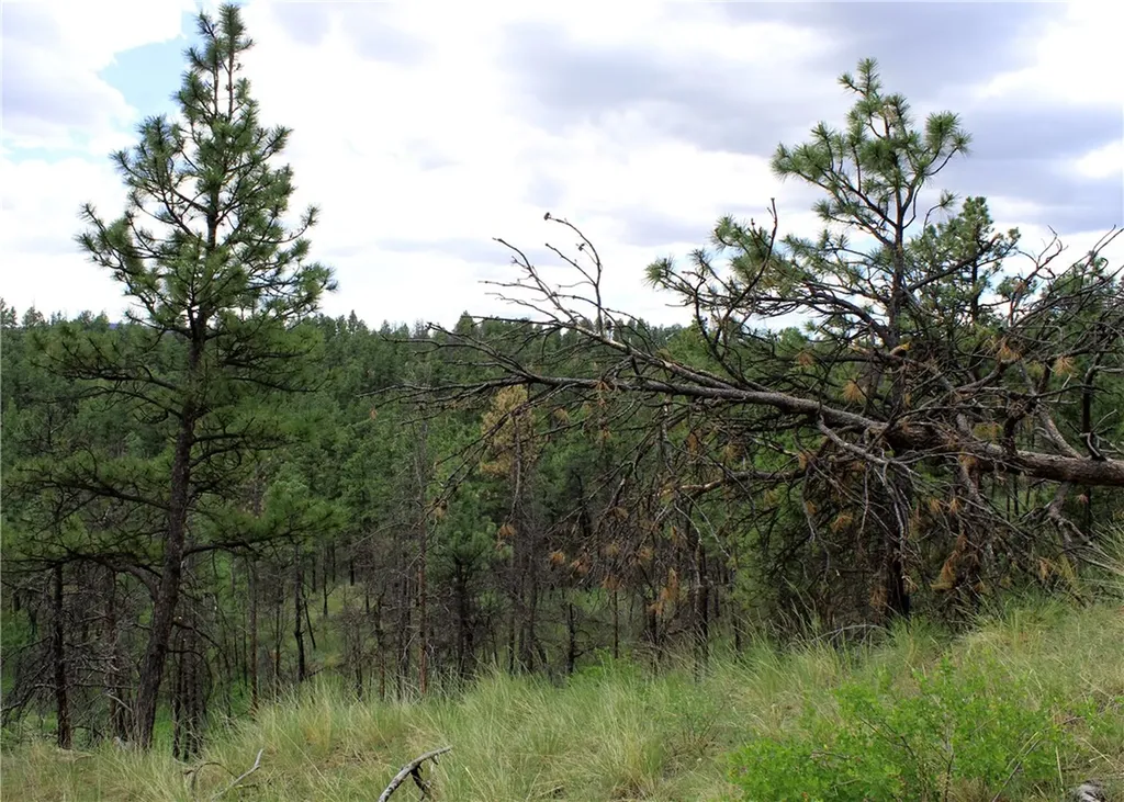 Nhn Deer Lane Roundup MT 59072