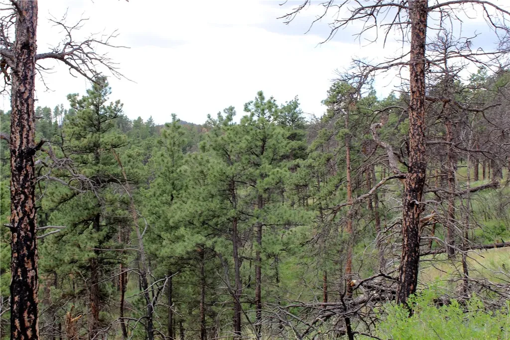 Nhn Deer Lane Roundup MT 59072