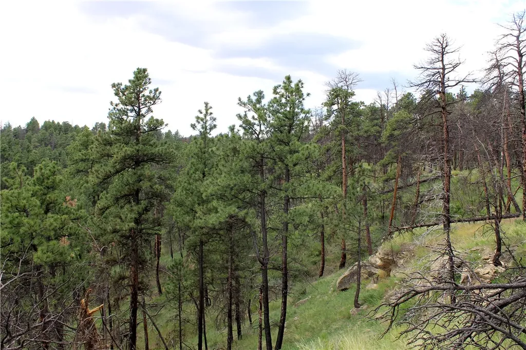 Nhn Deer Lane Roundup MT 59072