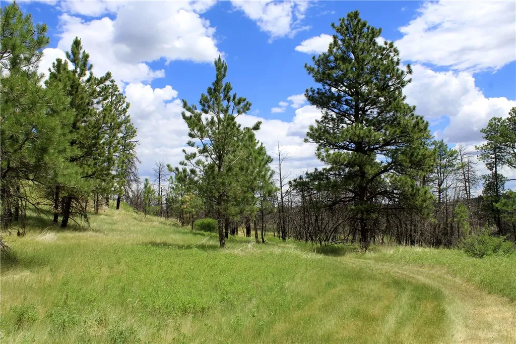 Nhn Deer Lane Roundup MT 59072