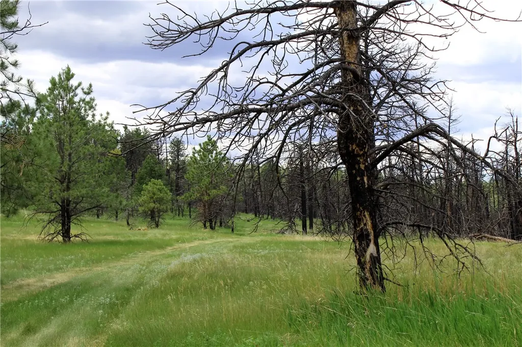 Nhn Deer Lane Roundup MT 59072