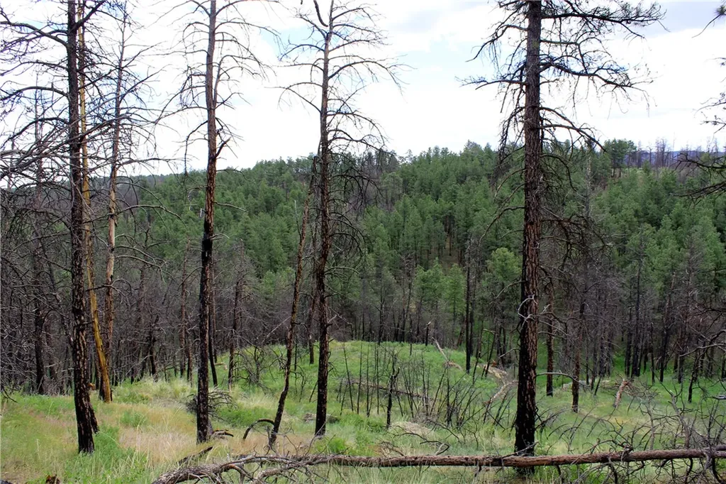 Nhn Deer Lane Roundup MT 59072