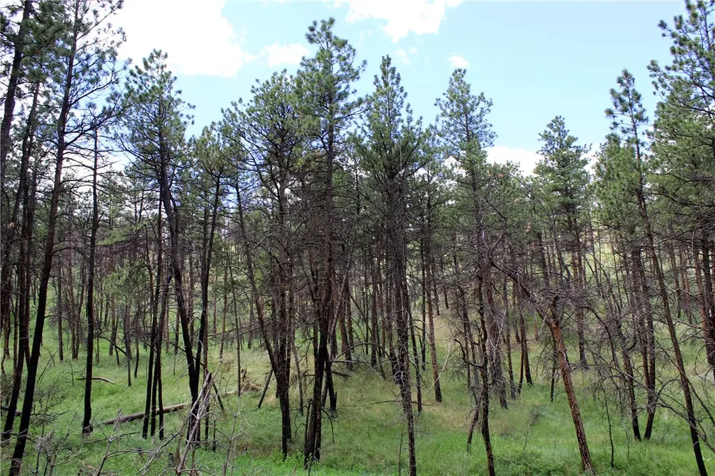 Nhn Deer Lane Roundup MT 59072