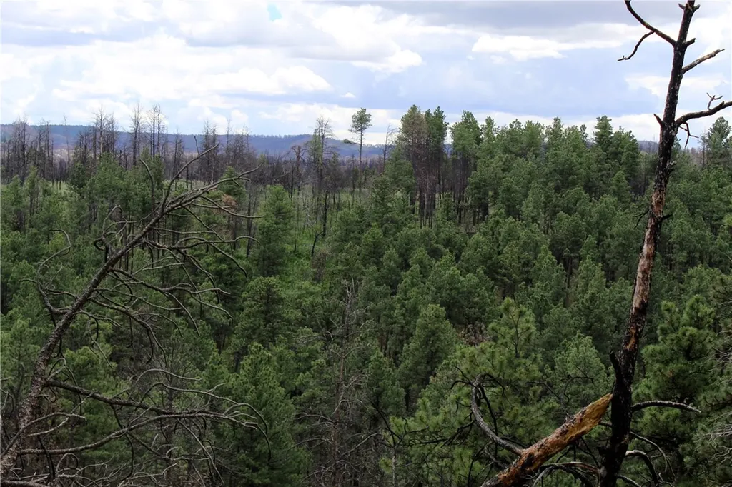 Nhn Deer Lane Roundup MT 59072