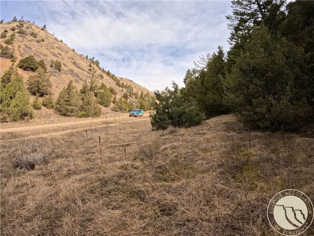 Lot 381&379 Pole Gulch Road Other MT 59752