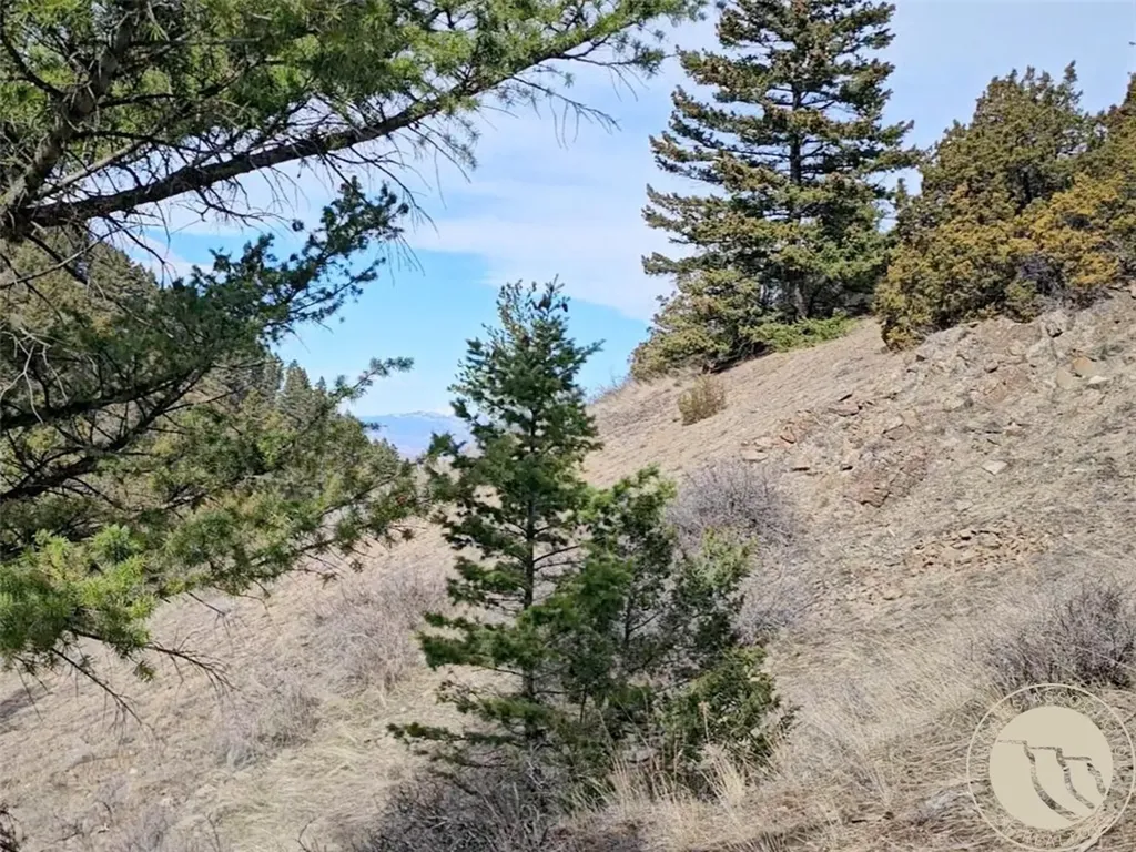 Lot 381&379 Pole Gulch Road Other MT 59752