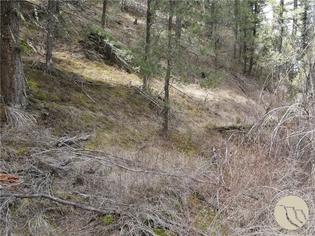 Lot 381&379 Pole Gulch Road Other MT 59752
