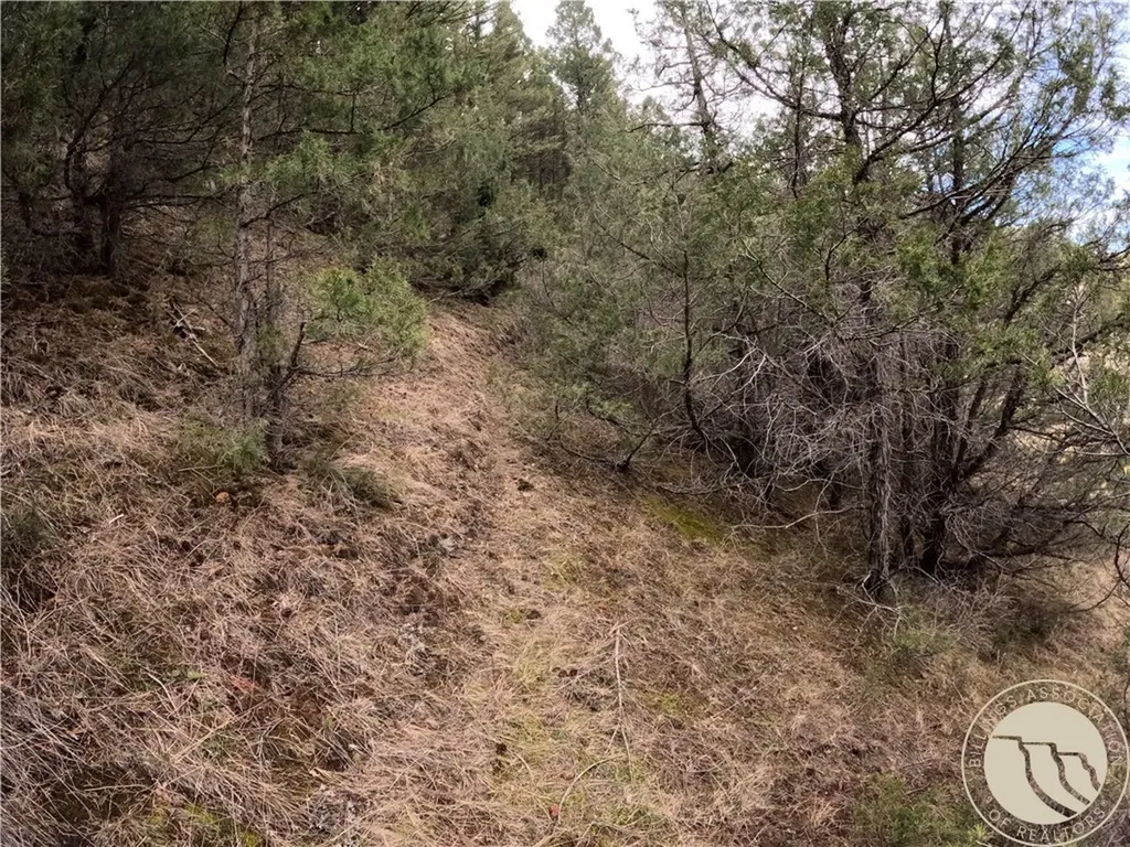 Lot 381&379 Pole Gulch Road Other MT 59752