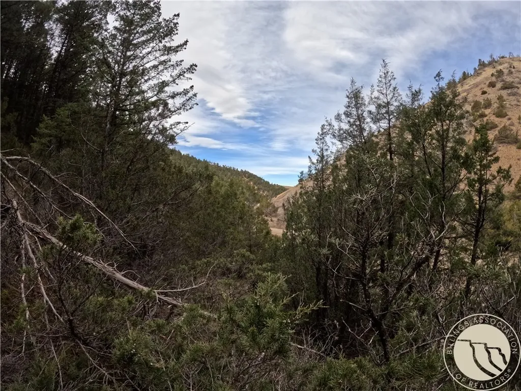 Lot 381&379 Pole Gulch Road Other MT 59752