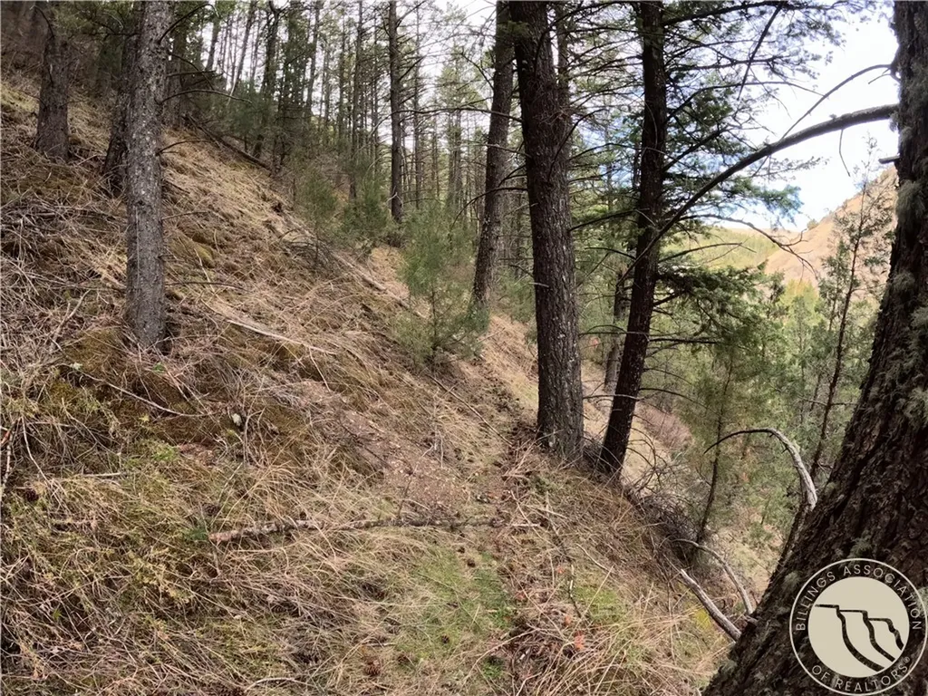 Lot 381&379 Pole Gulch Road Other MT 59752