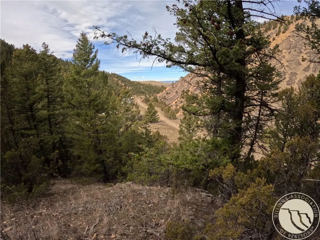 Lot 381&379 Pole Gulch Road Other MT 59752
