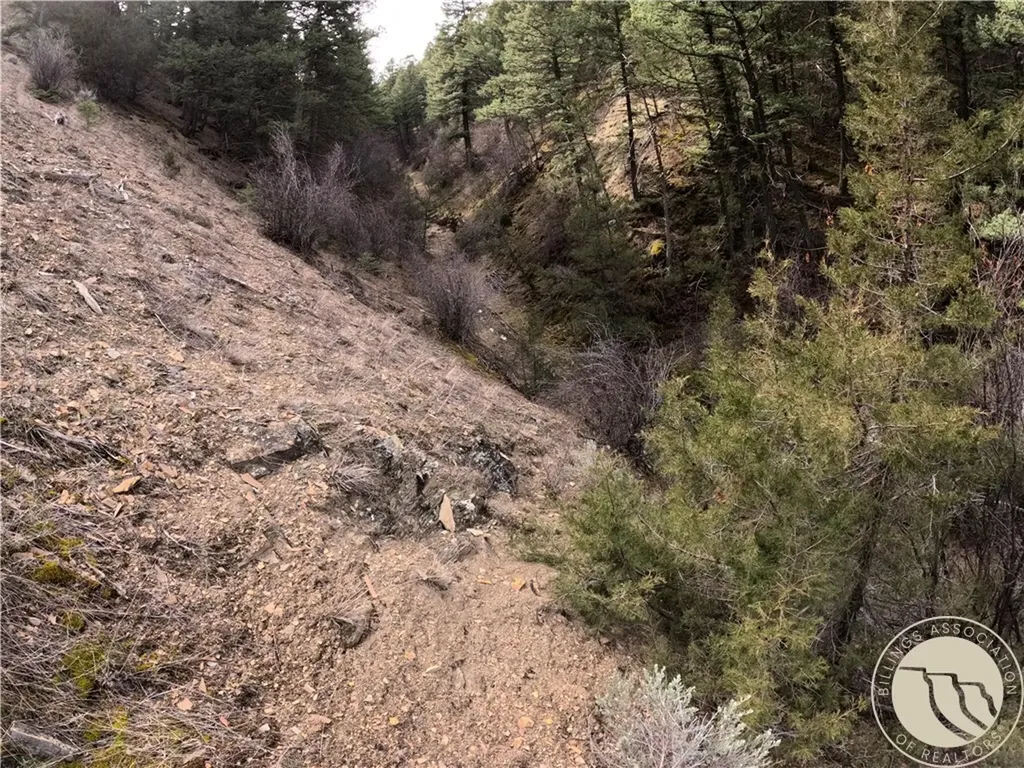 Lot 381&379 Pole Gulch Road Other MT 59752