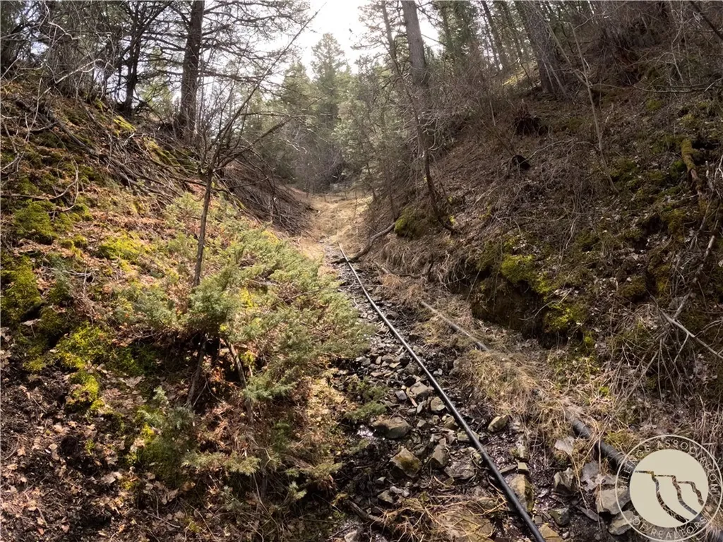 Lot 381&379 Pole Gulch Road Other MT 59752