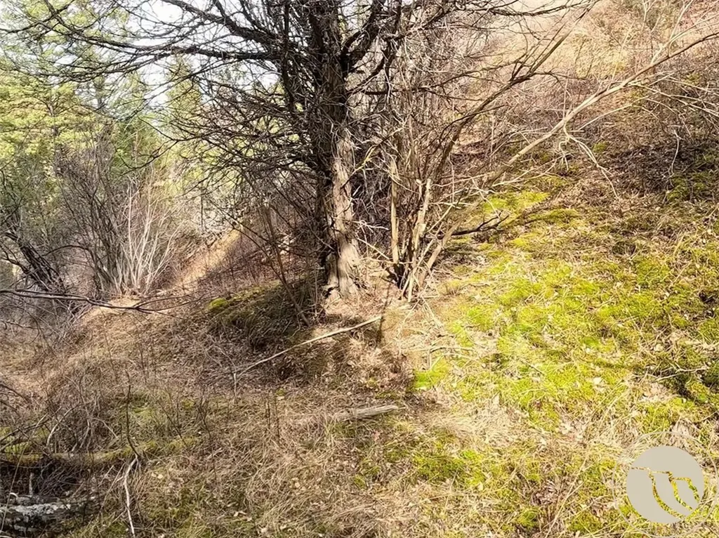 Lot 381&379 Pole Gulch Road Other MT 59752
