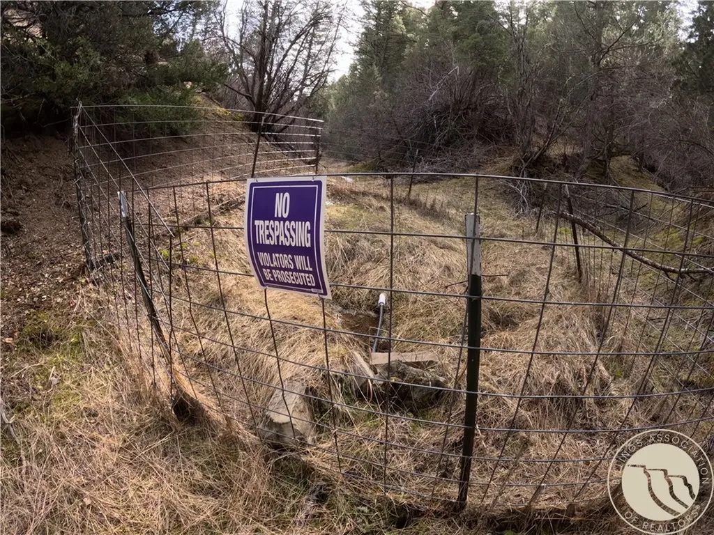 Lot 381&379 Pole Gulch Road Other MT 59752