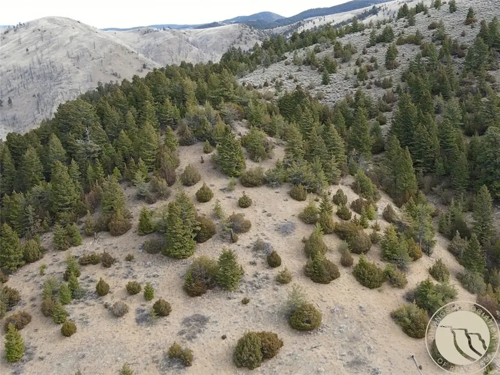 Lot 381&379 Pole Gulch Road Other MT 59752
