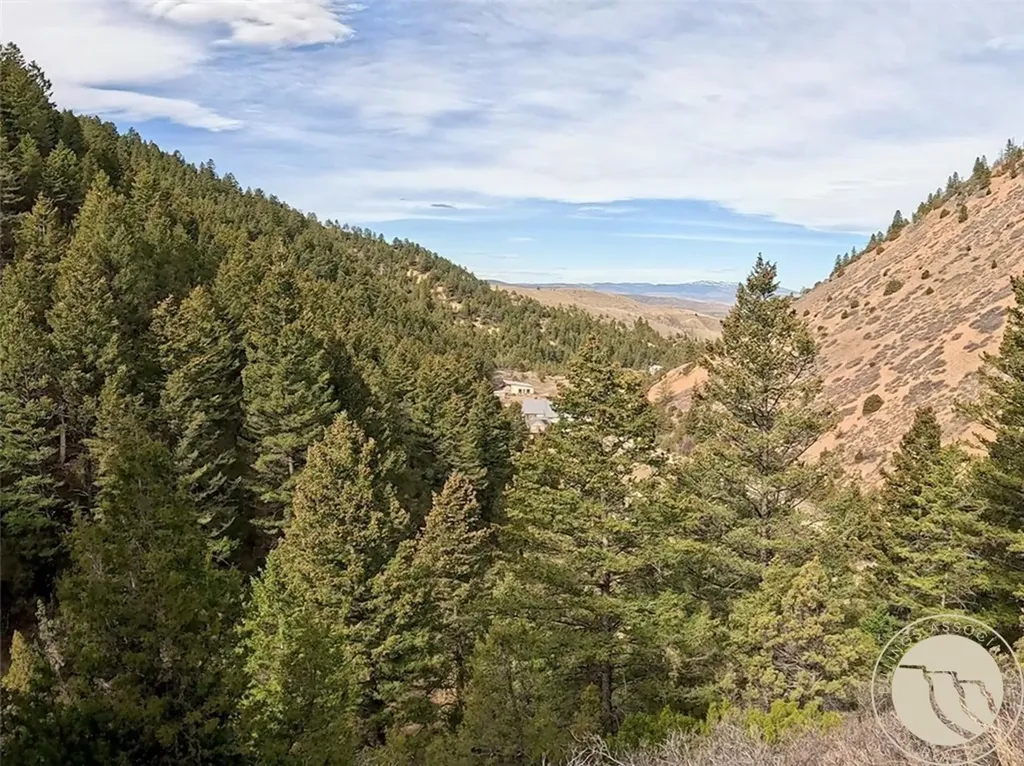 Lot 381&379 Pole Gulch Road Other MT 59752