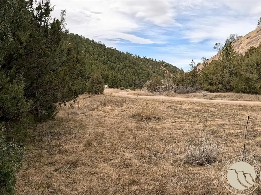 Lot 381&379 Pole Gulch Road Other MT 59752